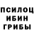 Псилоцибиновые грибы прущие грибы Misha Danilin